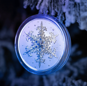 Scottsdale Snowflake 1 oz Silver Round – Second in Series